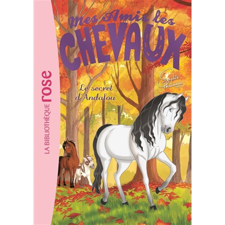Le secret d'Andalou, Tome 19,