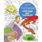 Fantaisie coloriage par numéros