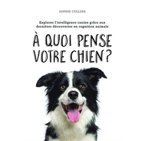À quoi pense votre chien?