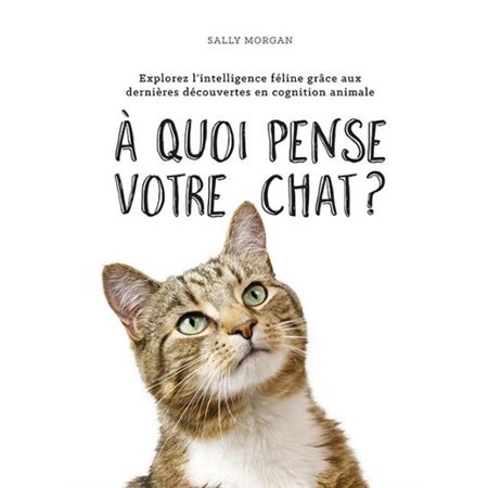 À quoi pense votre chat?