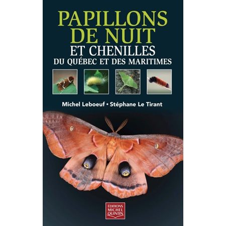 Papillons de nuit et chenilles