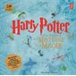 Harry Potter, À la découverte de l'histoire de la magie