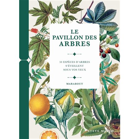 Le pavillon des arbres