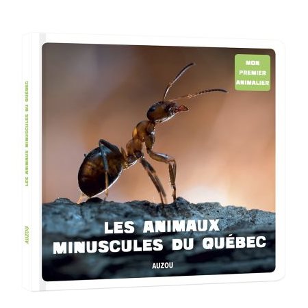 Les animaux minuscules du Québec