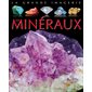 LA GRANDE IMAGERIE LES MINERAUX