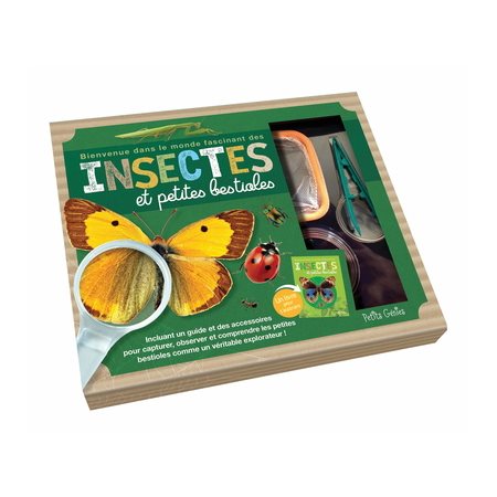 Insectes et petites bestioles