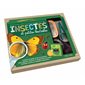 Insectes et petites bestioles