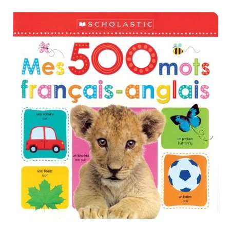 Mes 500 mots français-anglais