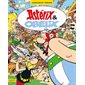 Cherche et trouve Astérix & Obélix