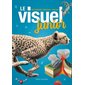 Le visuel junior