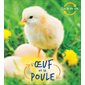 L'oeuf et la poule