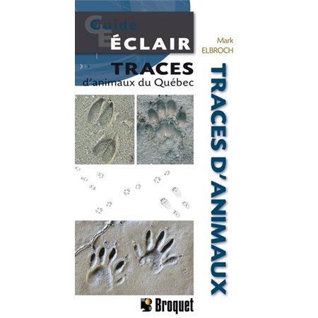 Traces d'animaux du Québec