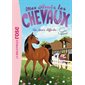 Mes amis les chevaux #3 Un choix difficile Mes amis les chevaux #3 Un choix difficile