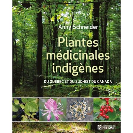 Plantes médicinales indigenes