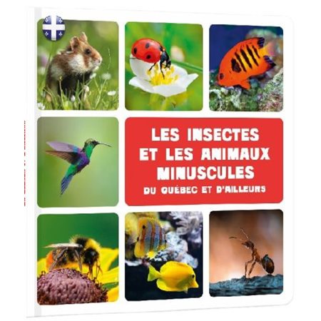 Les insectes et les animaux minuscules du Québec et d'ailleurs