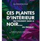 Ces plantes d'intérieur qui poussent dans le noir... ou presque!