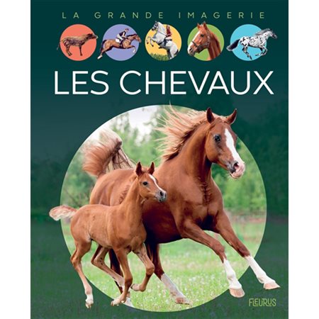 Les chevaux