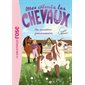 Mes amis les chevaux #1 Un nouveau pensionnaire