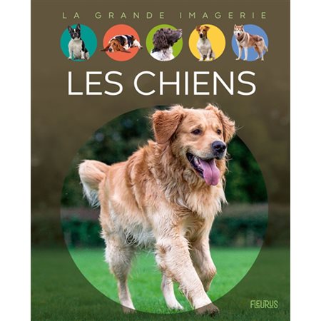 Les chiens