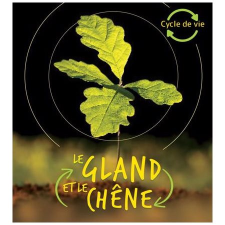 Le gland et le chêne