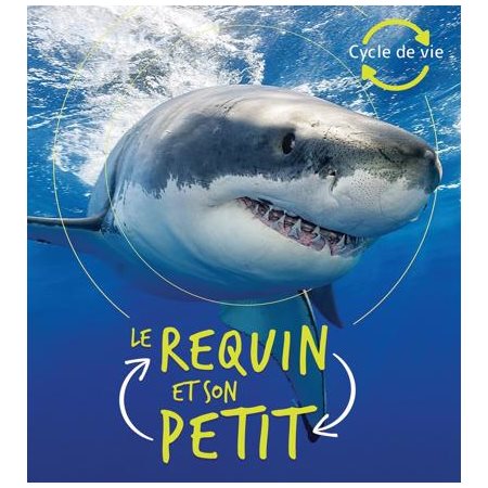 Le requin et son petit