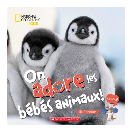 On adore les bébés animaux!