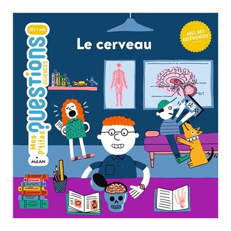 Le cerveau