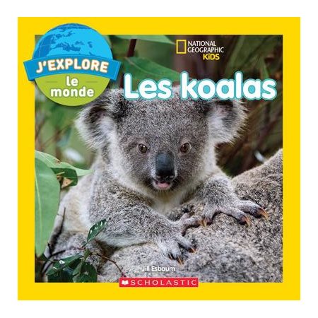 Les koalas