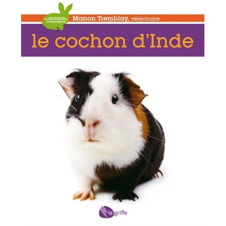 Le cochon d'Inde