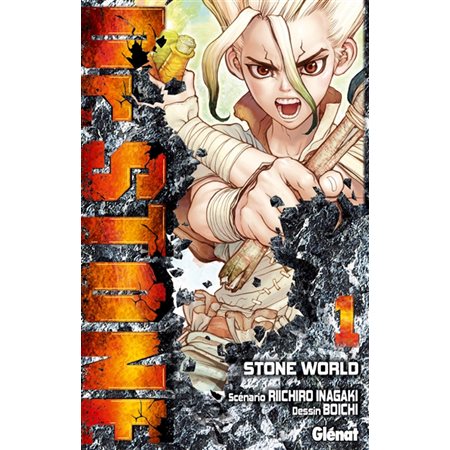 Dr Stone #1 Stone world
