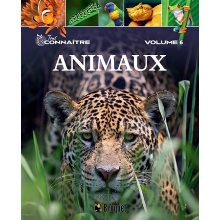 Animaux