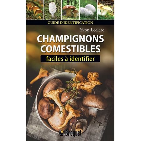 Champignons comestibles faciles à identifier
