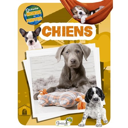 Chiens