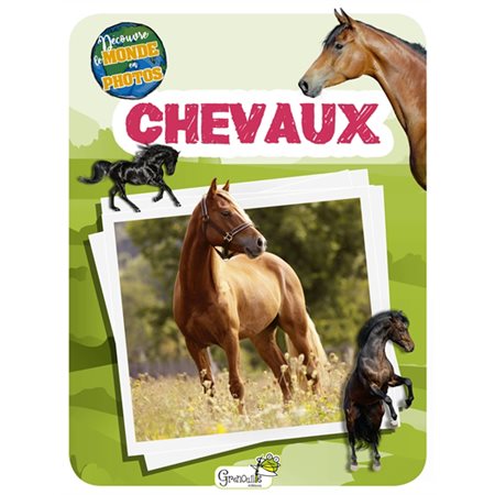 Chevaux