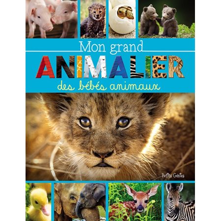 Mon grand animalier des bébés animaux Mon grand animalier des bébés animaux