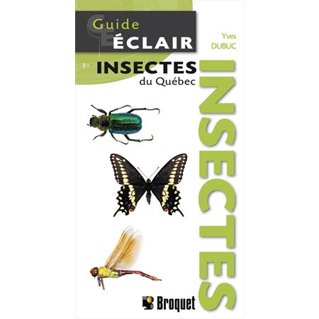 Insectes du Québec