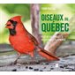 Oiseaux du Québec