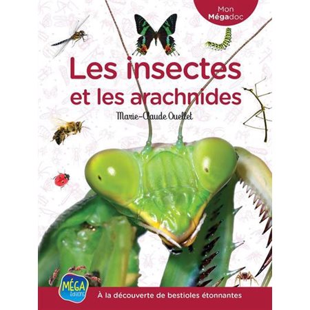 Les insectes et les arachnides