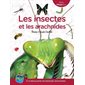 Les insectes et les arachnides