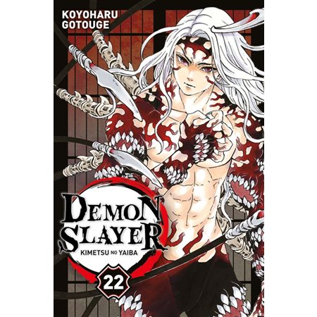 Demon slayer  #22: Kimetsu no yaiba