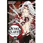 Demon slayer #22