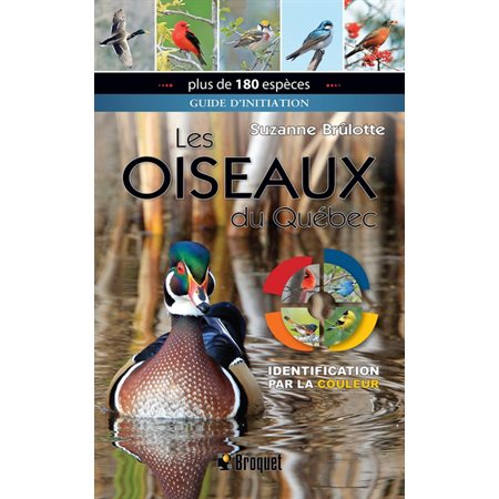 Les oiseaux du Québec (Guide d'initiation)