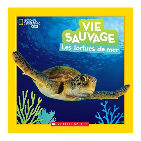 Vie sauvage; Les tortues de mer