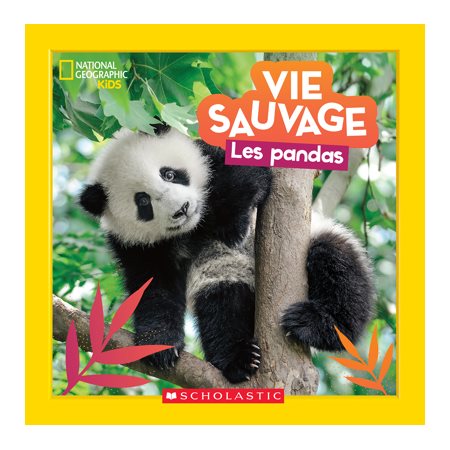 Vie sauvage Les pandas