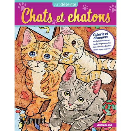 Art détente Chats et chatons