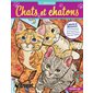 Art détente Chats et chatons