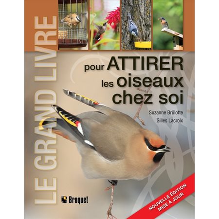 Le grand livre pour attirer les oiseaux chez soi