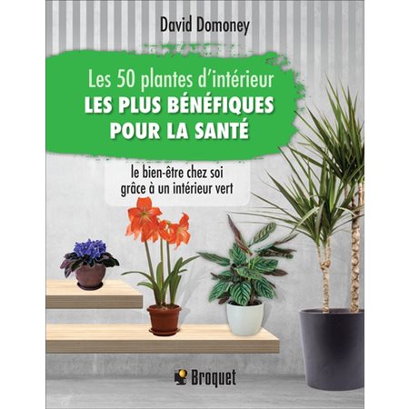 Les 50 plantes d'interieur les plus benefiques pour la sante