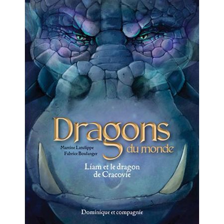 Liam et le dragon de Cracovie