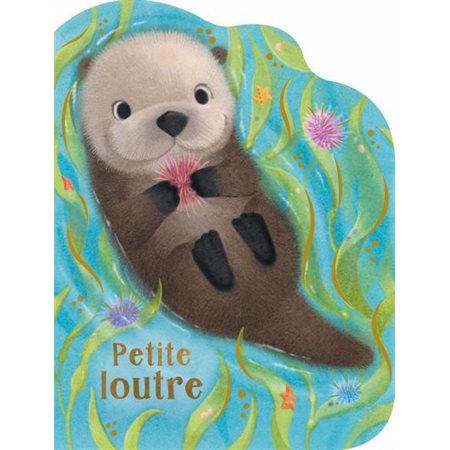 Petite loutre